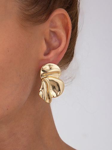 1729175 Irregularity Flower Shape Earrings Accessories