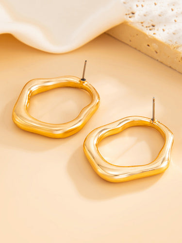 1719092 Irregularity Shiny Earrings Accessories